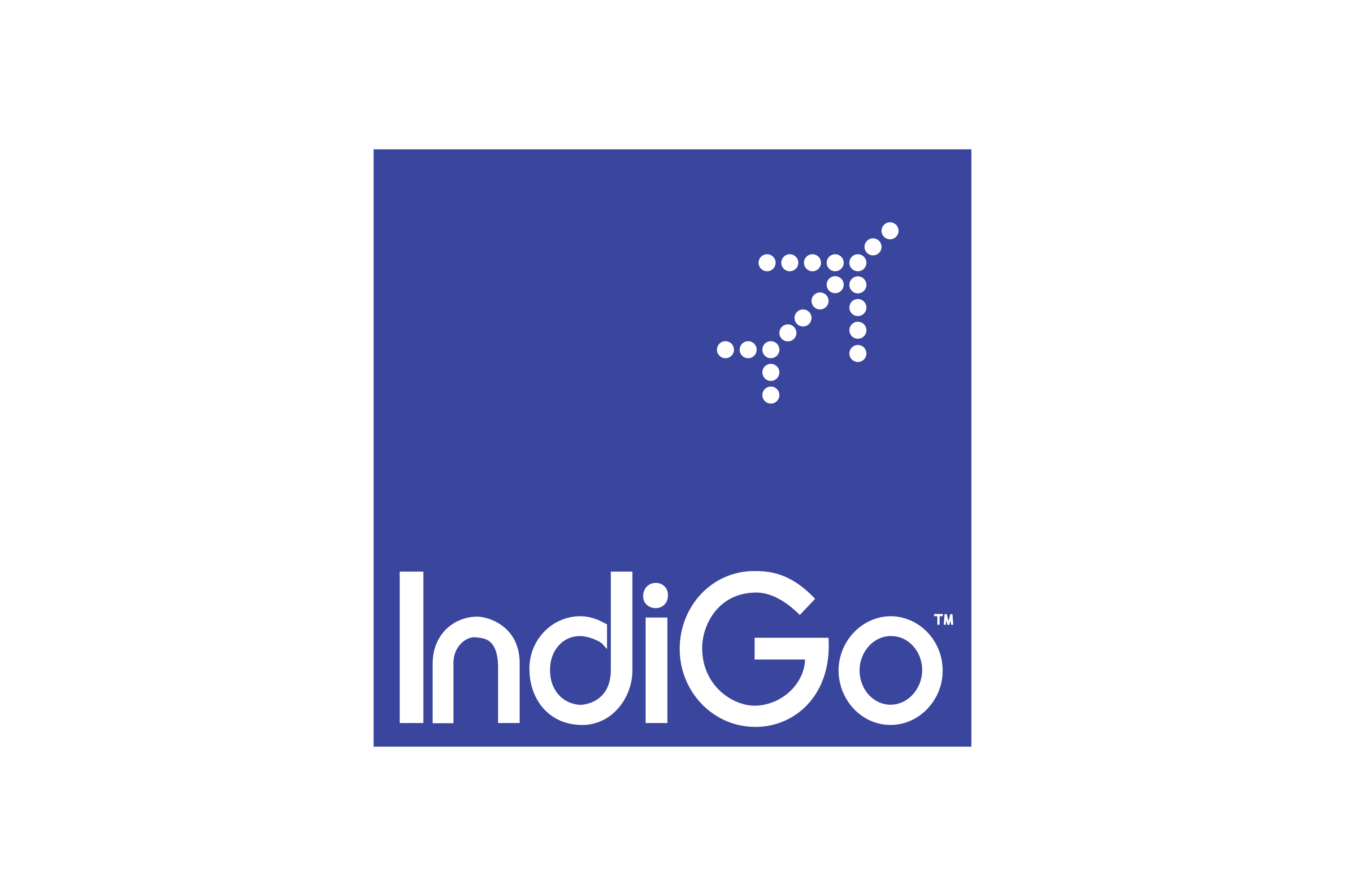 Indi go Airlines